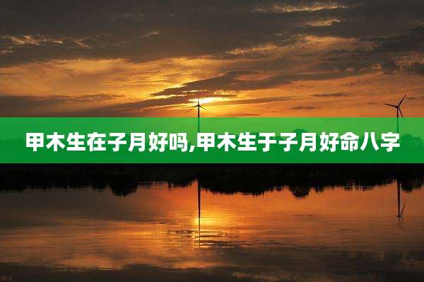 甲木生在子月好吗,甲木生于子月好命八字