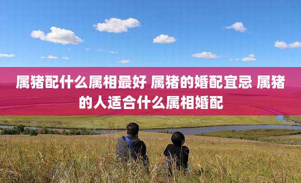 属猪配什么属相最好 属猪的婚配宜忌 属猪的人适合什么属相婚配