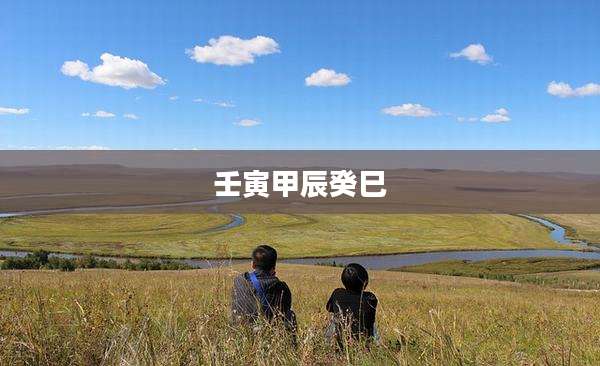 壬寅甲辰癸巳