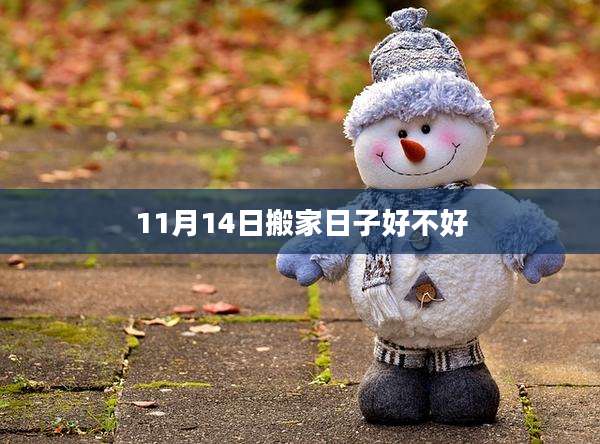 11月14日搬家日子好不好