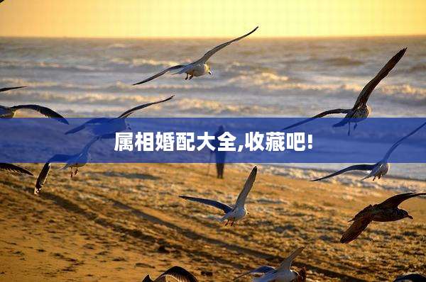 属相婚配大全,收藏吧!