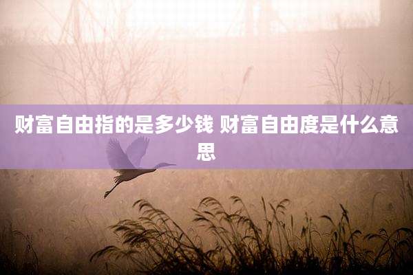 财富自由指的是多少钱 财富自由度是什么意思