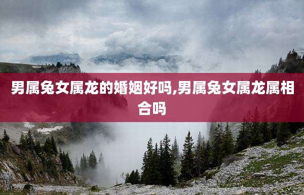 男属兔女属龙的婚姻好吗,男属兔女属龙属相合吗