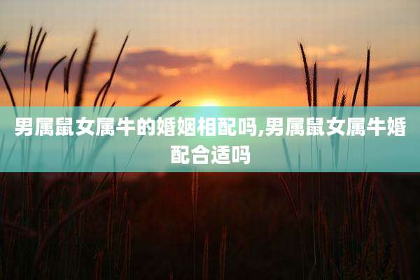 男属鼠女属牛的婚姻相配吗,男属鼠女属牛婚配合适吗
