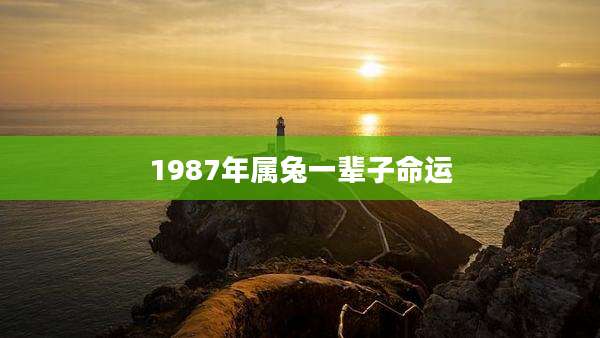 1987年属兔一辈子命运