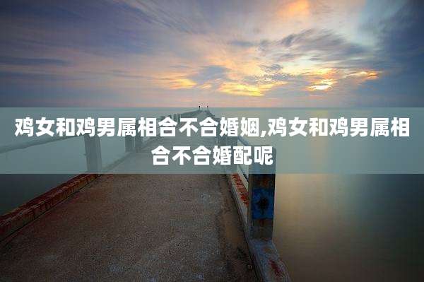 鸡女和鸡男属相合不合婚姻,鸡女和鸡男属相合不合婚配呢