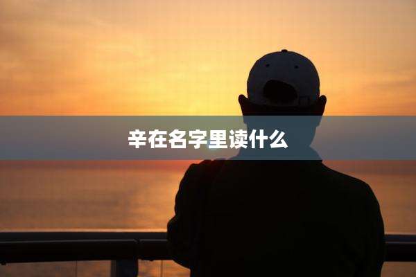 辛在名字里读什么