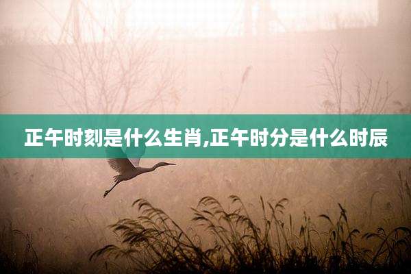 正午时刻是什么生肖,正午时分是什么时辰