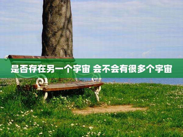 是否存在另一个宇宙 会不会有很多个宇宙