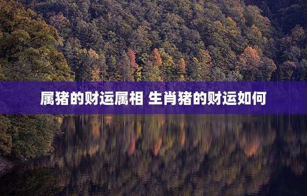 属猪的财运属相 生肖猪的财运如何