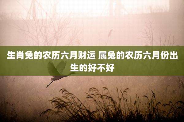生肖兔的农历六月财运 属兔的农历六月份出生的好不好
