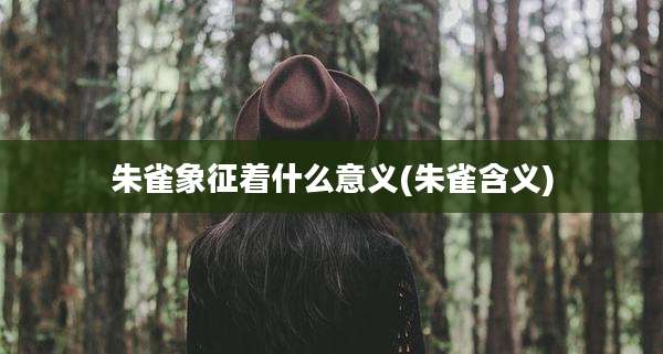 朱雀象征着什么意义(朱雀含义)