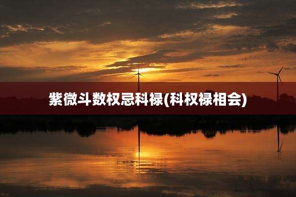 紫微斗数权忌科禄(科权禄相会)