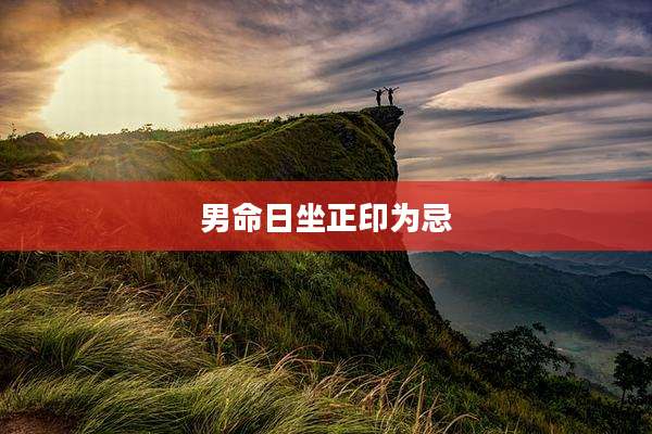 男命日坐正印为忌
