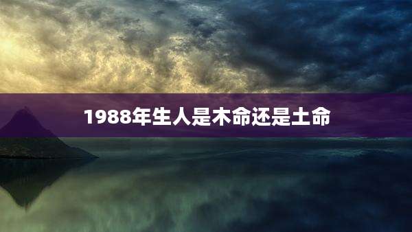 1988年生人是木命还是土命