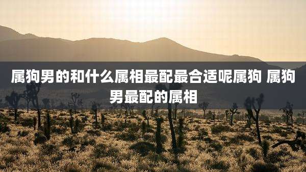 属狗男的和什么属相最配最合适呢属狗 属狗男最配的属相