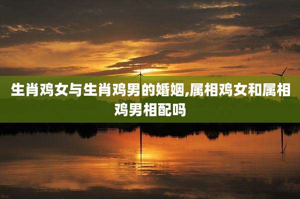 生肖鸡女与生肖鸡男的婚姻,属相鸡女和属相鸡男相配吗