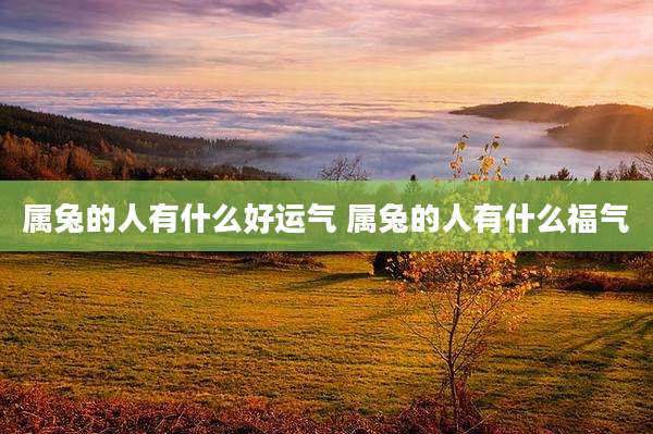 属兔的人有什么好运气 属兔的人有什么福气