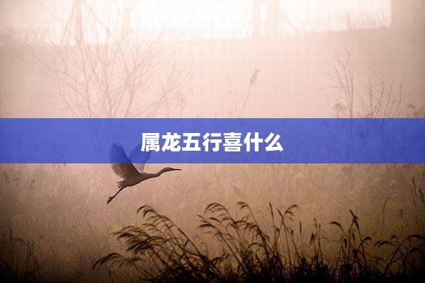 属龙五行喜什么
