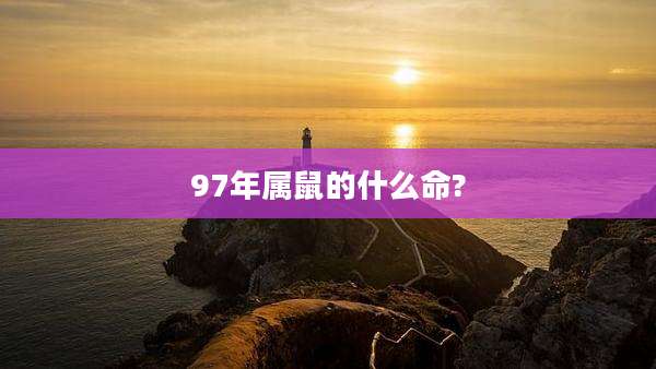 97年属鼠的什么命?