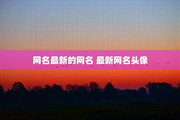 网名最新的网名 最新网名头像