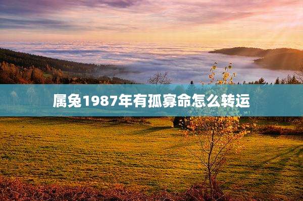 属兔1987年有孤寡命怎么转运