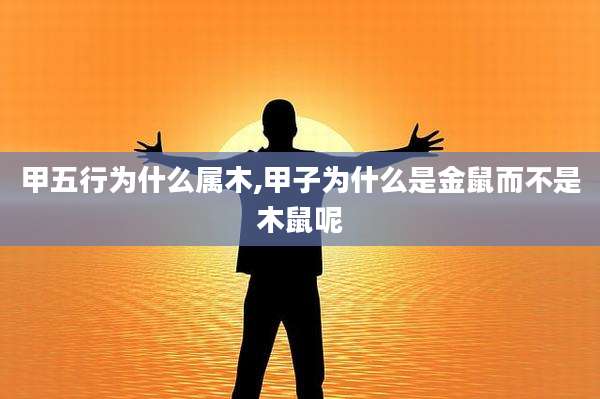 甲五行为什么属木,甲子为什么是金鼠而不是木鼠呢