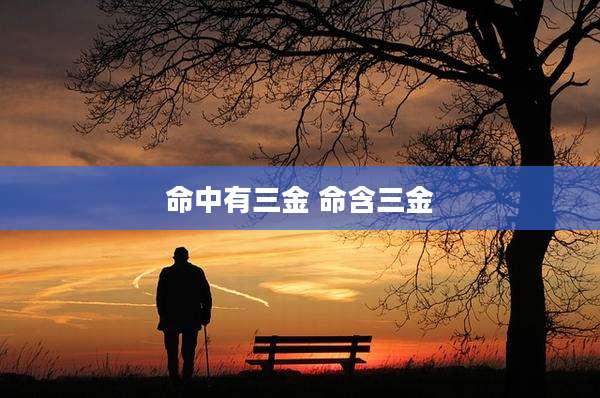 命中有三金 命含三金