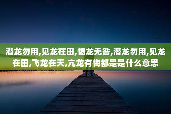 潜龙勿用,见龙在田,惕龙无咎,潜龙勿用,见龙在田,飞龙在天,亢龙有悔都是是什么意思