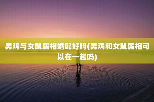 男鸡与女鼠属相婚配好吗(男鸡和女鼠属相可以在一起吗)