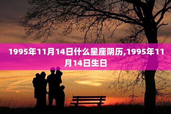 1995年11月14日什么星座阴历,1995年11月14日生日