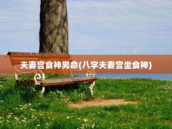 夫妻宫食神男命(八字夫妻宫坐食神)