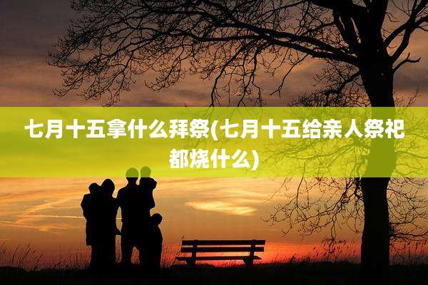 七月十五拿什么拜祭(七月十五给亲人祭祀都烧什么)