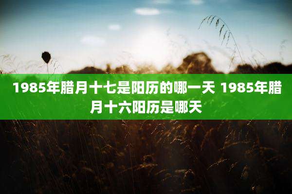 1985年腊月十七是阳历的哪一天 1985年腊月十六阳历是哪天