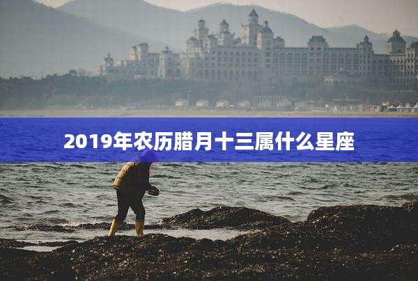 2019年农历腊月十三属什么星座