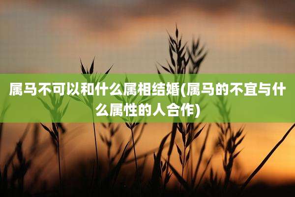 属马不可以和什么属相结婚(属马的不宜与什么属性的人合作)