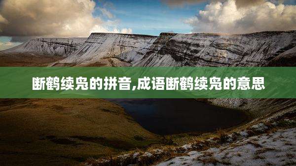 断鹤续凫的拼音,成语断鹤续凫的意思