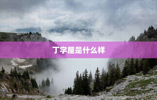 丁字屋是什么样
