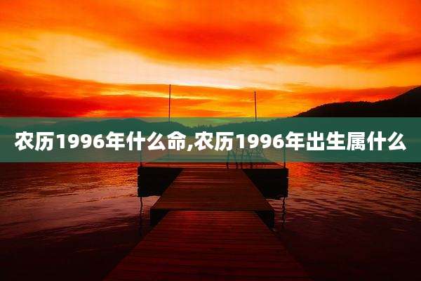农历1996年什么命,农历1996年出生属什么