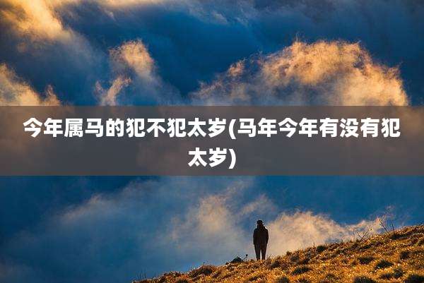 今年属马的犯不犯太岁(马年今年有没有犯太岁)