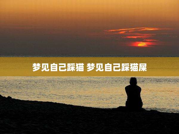 梦见自己踩猫 梦见自己踩猫屎