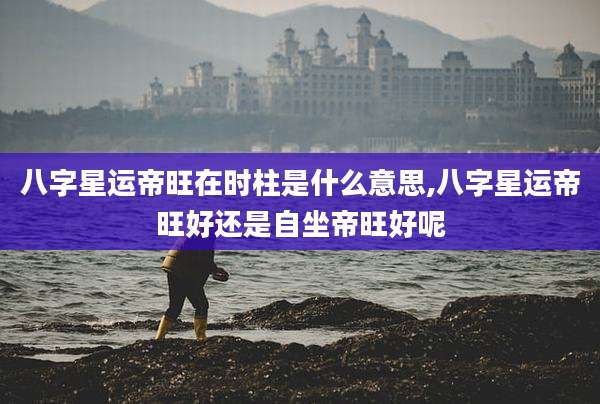 八字星运帝旺在时柱是什么意思,八字星运帝旺好还是自坐帝旺好呢