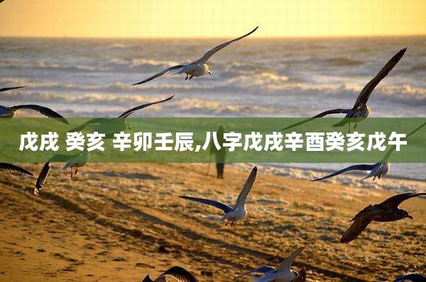 戊戌 癸亥 辛卯壬辰,八字戊戌辛酉癸亥戊午