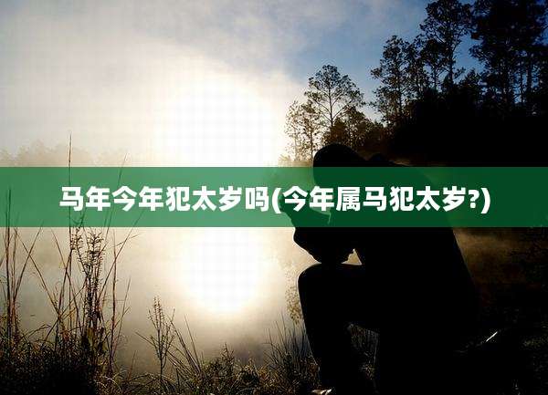 马年今年犯太岁吗(今年属马犯太岁?)