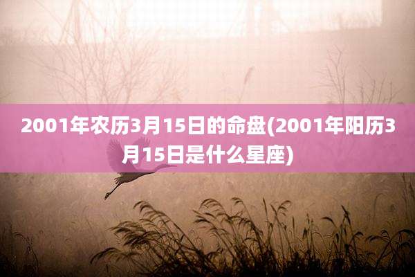 2001年农历3月15日的命盘(2001年阳历3月15日是什么星座)