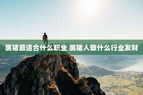 属猪最适合什么职业 属猪人做什么行业发财