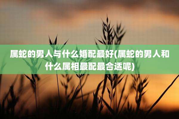 属蛇的男人与什么婚配最好(属蛇的男人和什么属相最配最合适呢)