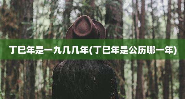 丁巳年是一九几几年(丁巳年是公历哪一年)