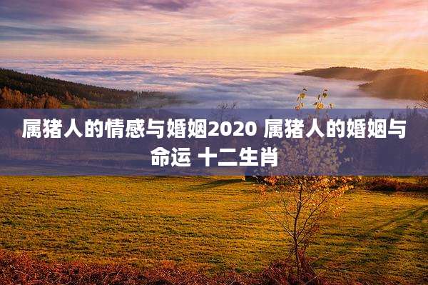 属猪人的情感与婚姻2020 属猪人的婚姻与命运 十二生肖