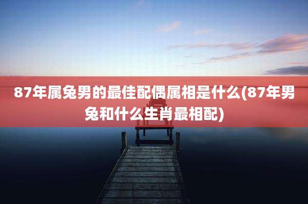 87年属兔男的最佳配偶属相是什么(87年男兔和什么生肖最相配)